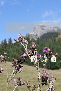网贷逾期影响坐火车 网贷逾期影响坐火车