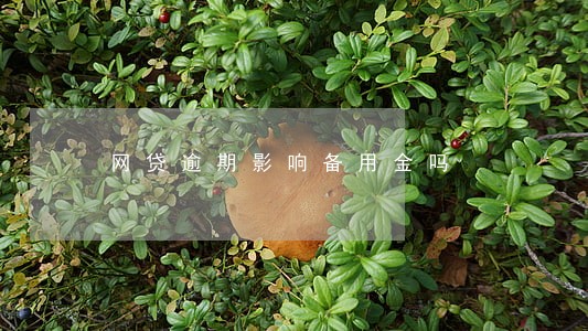 网贷逾期影响备用金吗 网贷逾期影响备用金吗