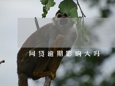 网贷逾期影响大吗 网贷逾期影响大吗