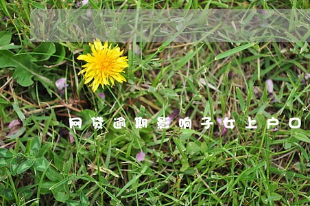网贷逾期影响子女上户口吗