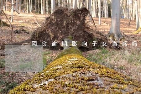 网贷逾期影响子女当兵吗 网贷逾期影响子女当兵吗