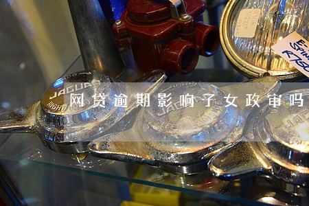 网贷逾期影响子女政审吗 网贷逾期影响子女政审吗