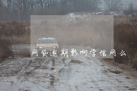 网贷逾期影响学信网么