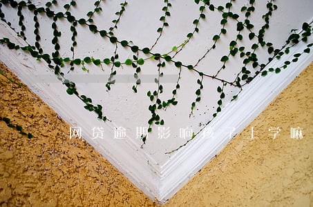 网贷逾期影响孩子上学嘛 网贷逾期影响孩子上学嘛