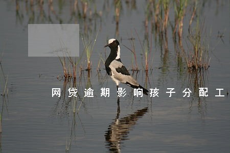网贷逾期影响孩子分配工作吗 网贷逾期影响孩子分配工作吗