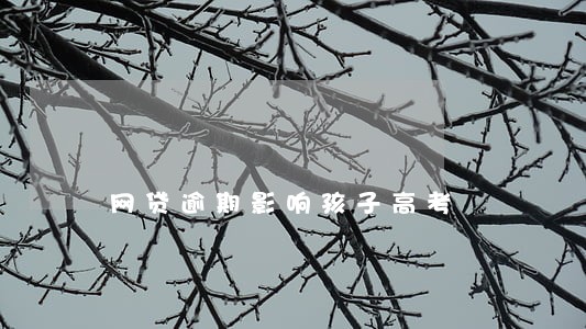 网贷逾期影响孩子高考 网贷逾期影响孩子高考