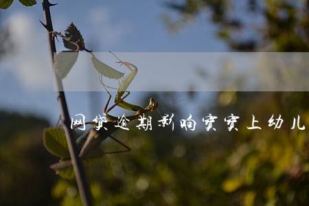 网贷逾期影响宝宝上幼儿园吗 网贷逾期影响宝宝上幼儿园吗