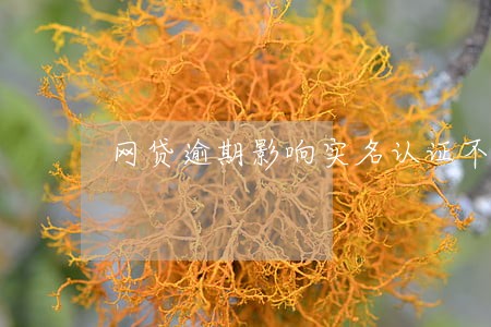 网贷逾期影响实名认证不 网贷逾期影响实名认证不