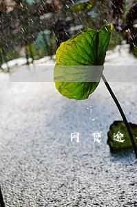 网贷逾期影响家乐卡使用吗 网贷逾期影响家乐卡使用吗