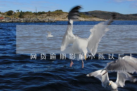 网贷逾期影响小陈以后上学吗 网贷逾期影响小陈以后上学吗