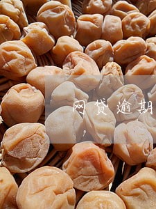 网贷逾期影响就业 网贷逾期影响就业