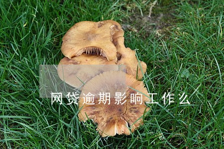 网贷逾期影响工作么 网贷逾期影响工作么