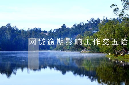 网贷逾期影响工作交五险吗 网贷逾期影响工作交五险吗