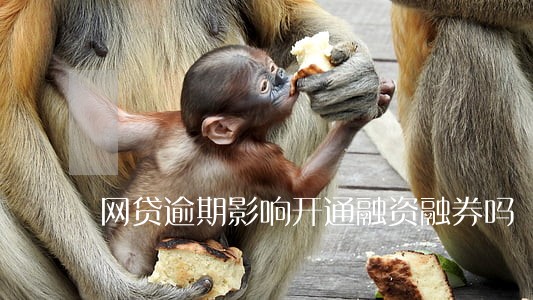 网贷逾期影响开通融资融券吗 网贷逾期影响开通融资融券吗
