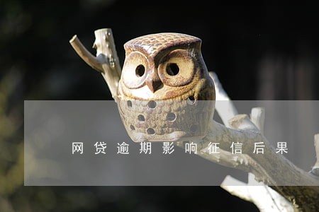 网贷逾期影响征信后果 网贷逾期影响征信后果