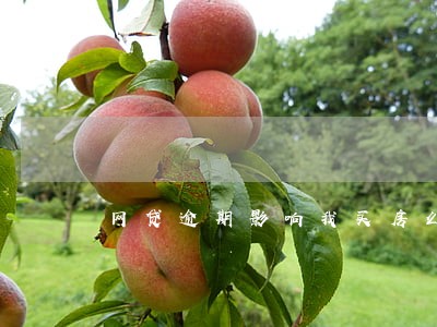 网贷逾期影响我买房么 网贷逾期影响我买房么