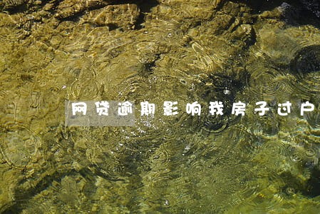 网贷逾期影响我房子过户吗
