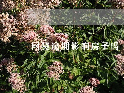 网贷逾期影响房子吗 网贷逾期影响房子吗