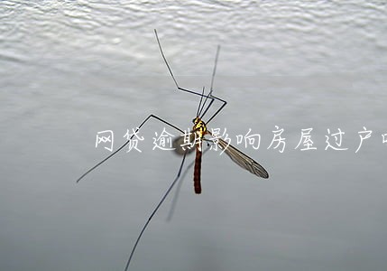 网贷逾期影响房屋过户吗 网贷逾期影响房屋过户吗