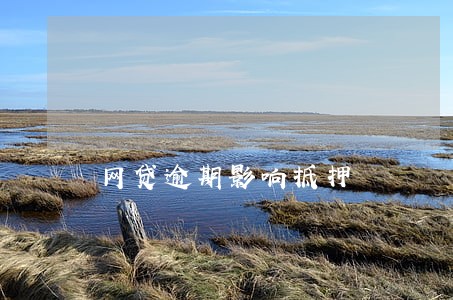 网贷逾期影响抵押 网贷逾期影响抵押