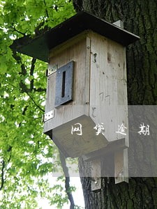 网贷逾期影响摇号么 网贷逾期影响摇号么