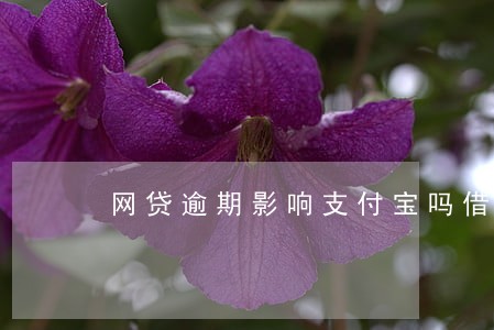 网贷逾期影响支付宝吗借呗么 网贷逾期影响支付宝吗借呗么
