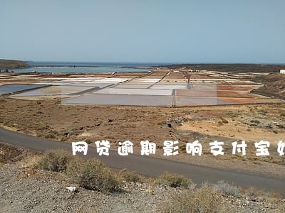网贷逾期影响支付宝妈借呗么 网贷逾期影响支付宝妈借呗么