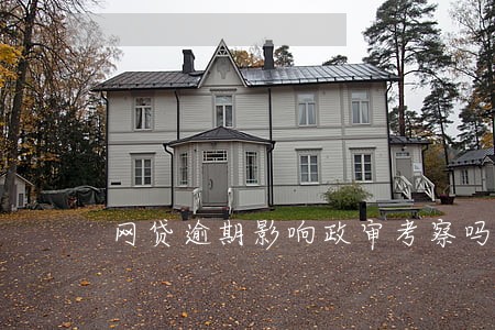 网贷逾期影响政审考察吗 网贷逾期影响政审考察吗