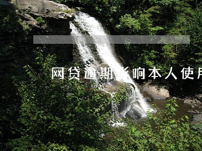 网贷逾期影响本人使用医保吗 网贷逾期影响本人使用医保吗