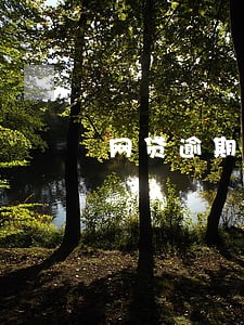 网贷逾期影响村干部政审吗