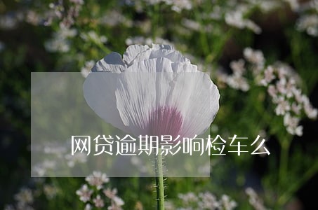网贷逾期影响检车么 网贷逾期影响检车么