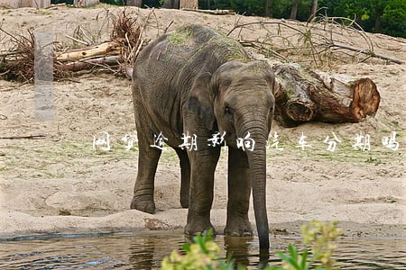 网贷逾期影响汽车分期吗 网贷逾期影响汽车分期吗