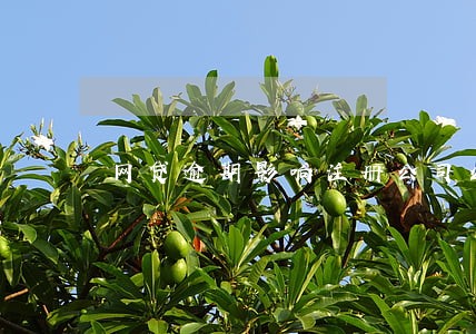 网贷逾期影响注册公司么 网贷逾期影响注册公司么