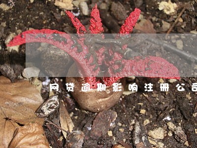 网贷逾期影响注册公司吗 网贷逾期影响注册公司吗
