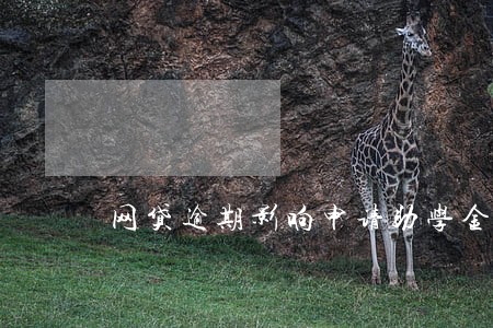 网贷逾期影响申请助学金吗 网贷逾期影响申请助学金吗