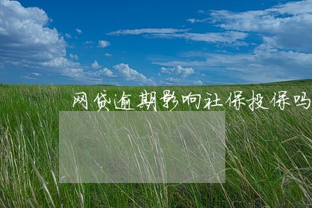 网贷逾期影响社保投保吗
