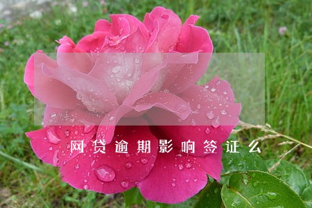 网贷逾期影响签证么 网贷逾期影响签证么