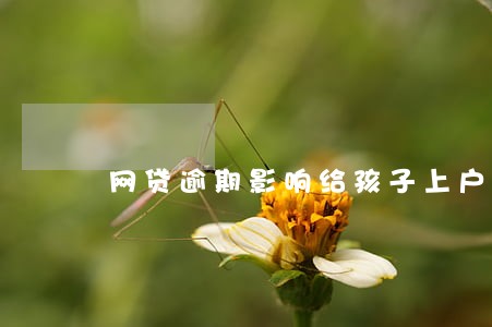 网贷逾期影响给孩子上户口吗 网贷逾期影响给孩子上户口吗