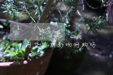 网贷逾期影响网购吗