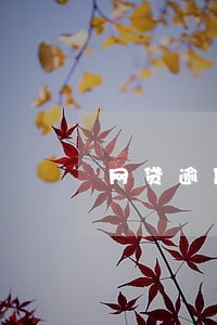 网贷逾期影响考教师吗 网贷逾期影响考教师吗