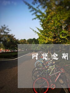 网贷逾期影响考证么