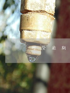 网贷逾期影响考证吗 网贷逾期影响考证吗