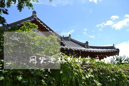 网贷逾期影响芝麻分怎么申诉