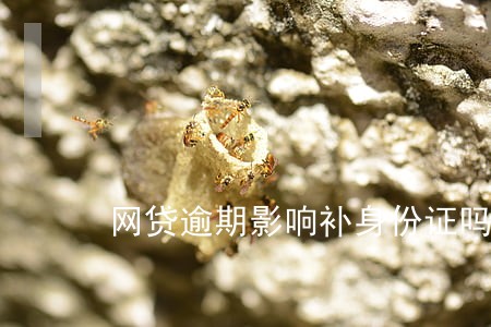 网贷逾期影响补身份证吗 网贷逾期影响补身份证吗
