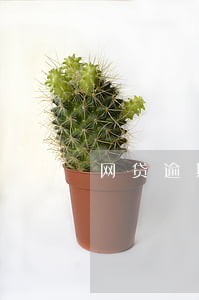 网贷逾期影响购车吗 网贷逾期影响购车吗