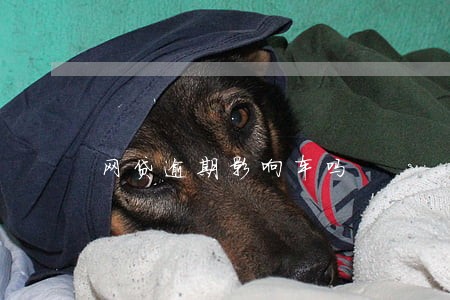 网贷逾期影响车吗 网贷逾期影响车吗