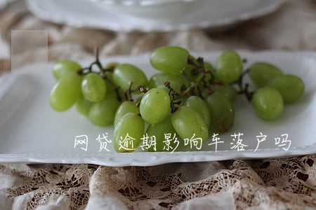 网贷逾期影响车落户吗 网贷逾期影响车落户吗