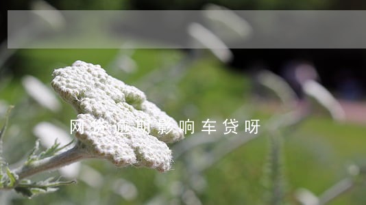 网贷逾期影响车贷呀 网贷逾期影响车贷呀
