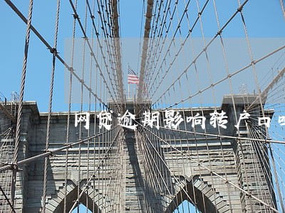 网贷逾期影响转户口吗 网贷逾期影响转户口吗
