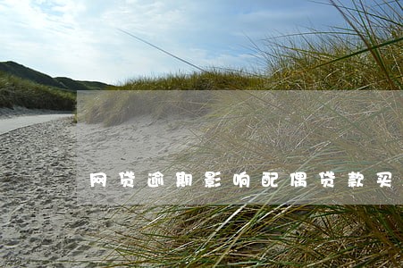 网贷逾期影响配偶贷款买车吗 网贷逾期影响配偶贷款买车吗